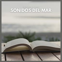 Estudiar con Sonidos del Mar - Fondo de la lectura