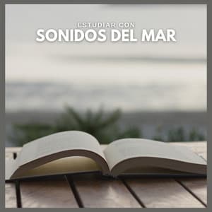 Estudiar con Sonidos del Mar - Fondo de la lectura