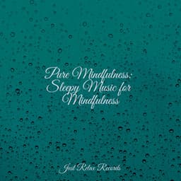 Pure Mindfulness: Sleepy Music for Mindfulness - Dormir