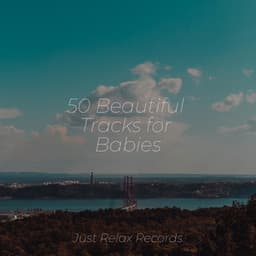 50 Beautiful Tracks for Babies - Meditar Profundamente