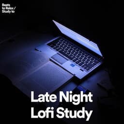 Late Night Lofi Study - Beats to Relax and Study to