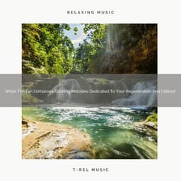 When The Fan Composes Calming Melodies Dedicated To Your Regeneration And Chillout - Zen Sounds