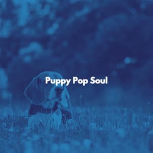 Puppy Pop Soul - Instrumental Chill Out Jazz