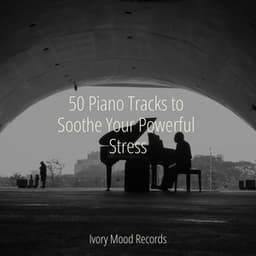 50 Piano Tracks to Soothe Your Powerful Stress - Música Zen Relaxante