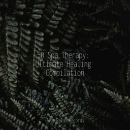 50 Spa Therapy: Ultimate Healing Compilation - Música Relajante para Bebés