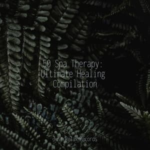 50 Spa Therapy: Ultimate Healing Compilation - Música Relajante para Bebés