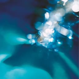 Grooves and Pads - Jeff Newmann