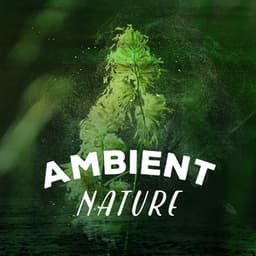Ambient Nature - Nature Sounds for Concentration