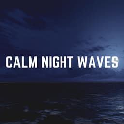 Calm Night Waves - Water Sounds Natural White Noise