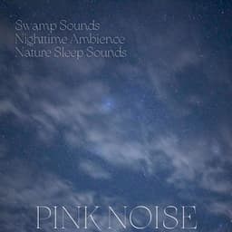 Swamp Sounds, Nighttime Ambience, Nature Sleep Sounds, Pink Noise, Loopable - 101 Nature Sounds