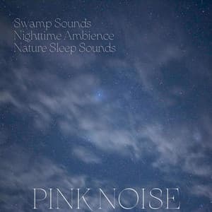 Swamp Sounds, Nighttime Ambience, Nature Sleep Sounds, Pink Noise, Loopable - 101 Nature Sounds