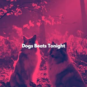 Dogs Beats Tonight - Jazz Deluxe for Studying