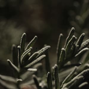 Spa Chillout Music Compilation - Chakra Balancing Sound Therapy