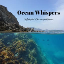 Ocean Whispers: Nightfall Serenity Waves - Ocean Noises