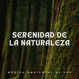 Serenidad de la Naturaleza: Música Ambiental de Spa - Ambiente de naturaleza
