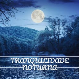 Tranquilidade Noturna: Uma Jornada de Relaxamento Profundo com os Melhores Sons Ambientes para Dormir e Meditar - Relaxamento Soundscape