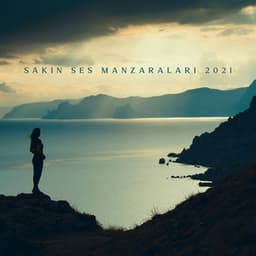 Sakin Ses Manzaraları 2021: Rahatlama Müziği, Uyku için Sesler, Kaplıca Merkezi - Music to Relax in Free Time