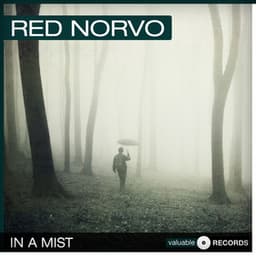 In a Mist - Red Norvo