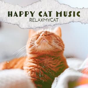 Happy Cat Music - RelaxMyCat