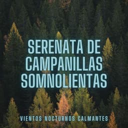 Serenata De Campanillas Somnolientas: Vientos Nocturnos Calmantes - Sonidos De La Noche