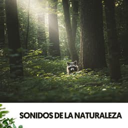 Sonidos de la Naturaleza: Symphony of Nature - Dog Relaxation