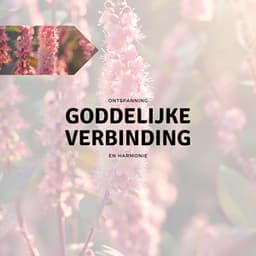Goddelijke Verbinding - Ontspanning en Harmonie