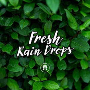Fresh Rain Drops - Rain Sounds Nature Collection