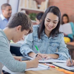 Birdsong Melodic Academia: A Relaxing Study with an Ambient Soundscape - Swedish Forest Birds