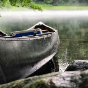 Our Last Summer / Daily Yoga Practice, Well Being, Calm Your Mind - Nature Sounds