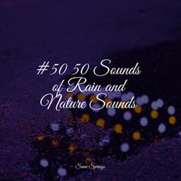 #50 50 Sounds of Rain and Nature Sounds - Lullaby Rain