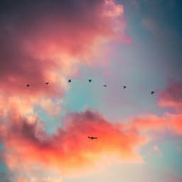 Chill White Noise - Natural Zen Meditation White Noise