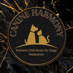 Canine Harmony: Ambient Chill Music for Dogs' Relaxation - Relaxing Piano