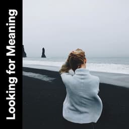 Looking for Meaning - Music Body and Spirit