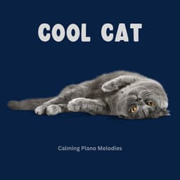 Cool Cat Calming Piano Melodies - Cat Music
