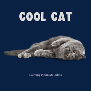 Cool Cat Calming Piano Melodies - Cat Music