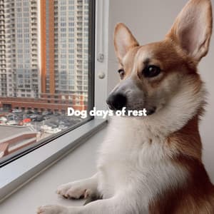 Dog days of rest - Musica Relajante para Perros Momentos