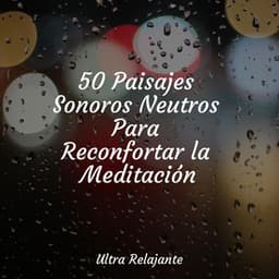 50 Paisajes Sonoros Neutros Para Reconfortar la Meditación - Canção de Ninar Bebê