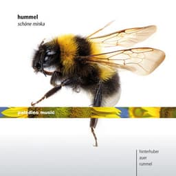 Hummel: Piano Sonata No. 5, Cello Sonata & Flute Trio - Johann Nepomuk Hummel