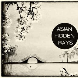 Asian Hidden Rays - Felix Stille