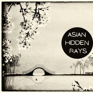 Asian Hidden Rays - Felix Stille