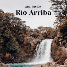 Sonidos De Río Arriba - Balneario de agua