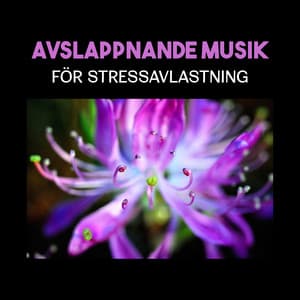Avslappnande musik för stressavlastning - Lugn Spa Akademi