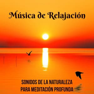 Música de Relajación con Sonidos de la Naturaleza para Meditación Profunda - Lucia Guiada