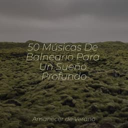 50 Músicas De Balneario Para Un Sueño Profundo - Baby Lullaby