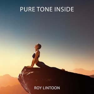 Pure Tone Inside - Roy Lintoon
