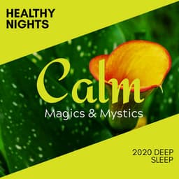 Healthy Nights - 2020 Deep Sleep - Relaxing Minds