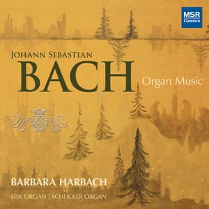 Johann Sebastian Bach: Organ Music - Johann Sebastian Bach