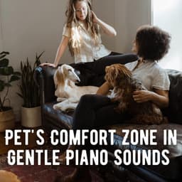 Pet's Comfort Zone in Gentle Piano Sounds - Relaxing Jazz Piano