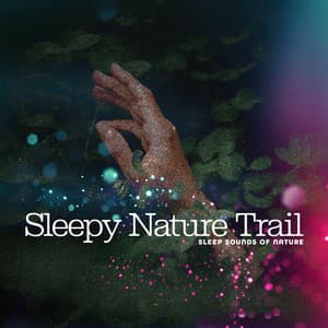 Sleepy Nature Trail - Sleep Sounds of Nature