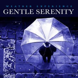 Gentle Serenity - Weather Experience